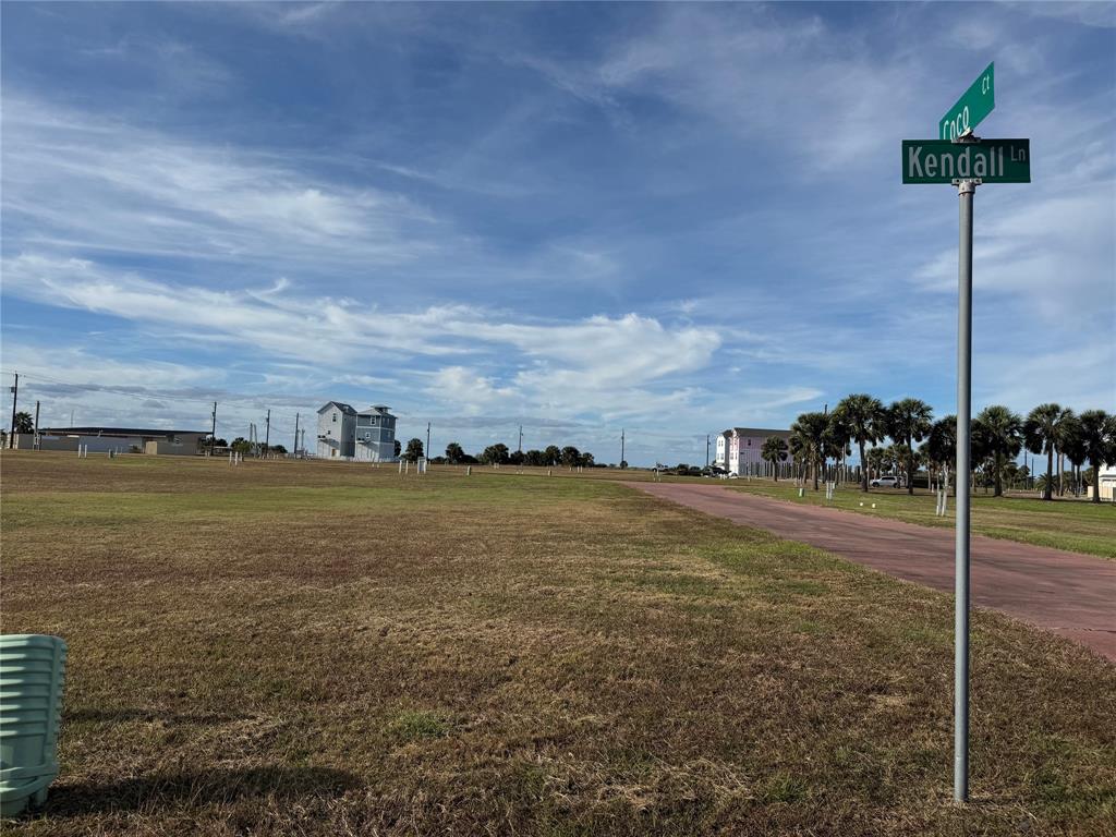 a view of a street with houses in the background