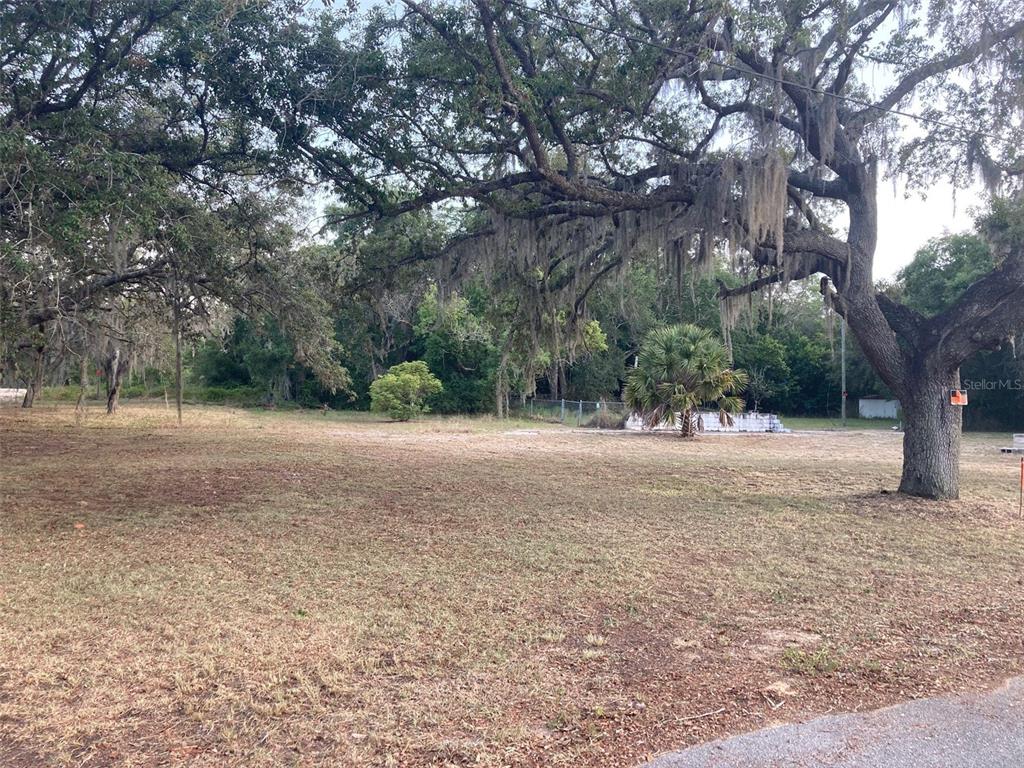 a view of outdoor space with trees