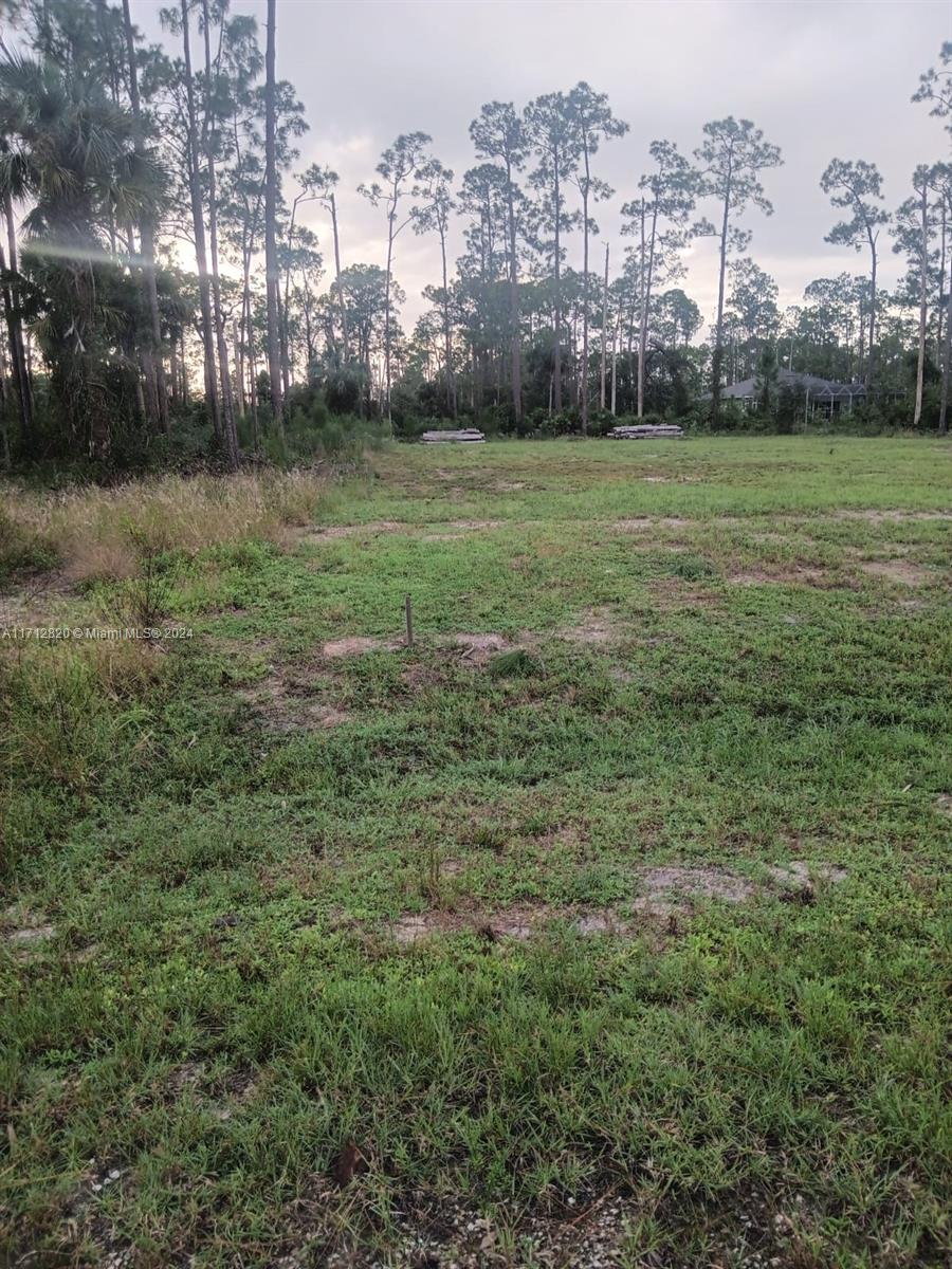 a view of a field with a big yard