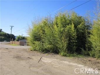 a view of a yard with plants