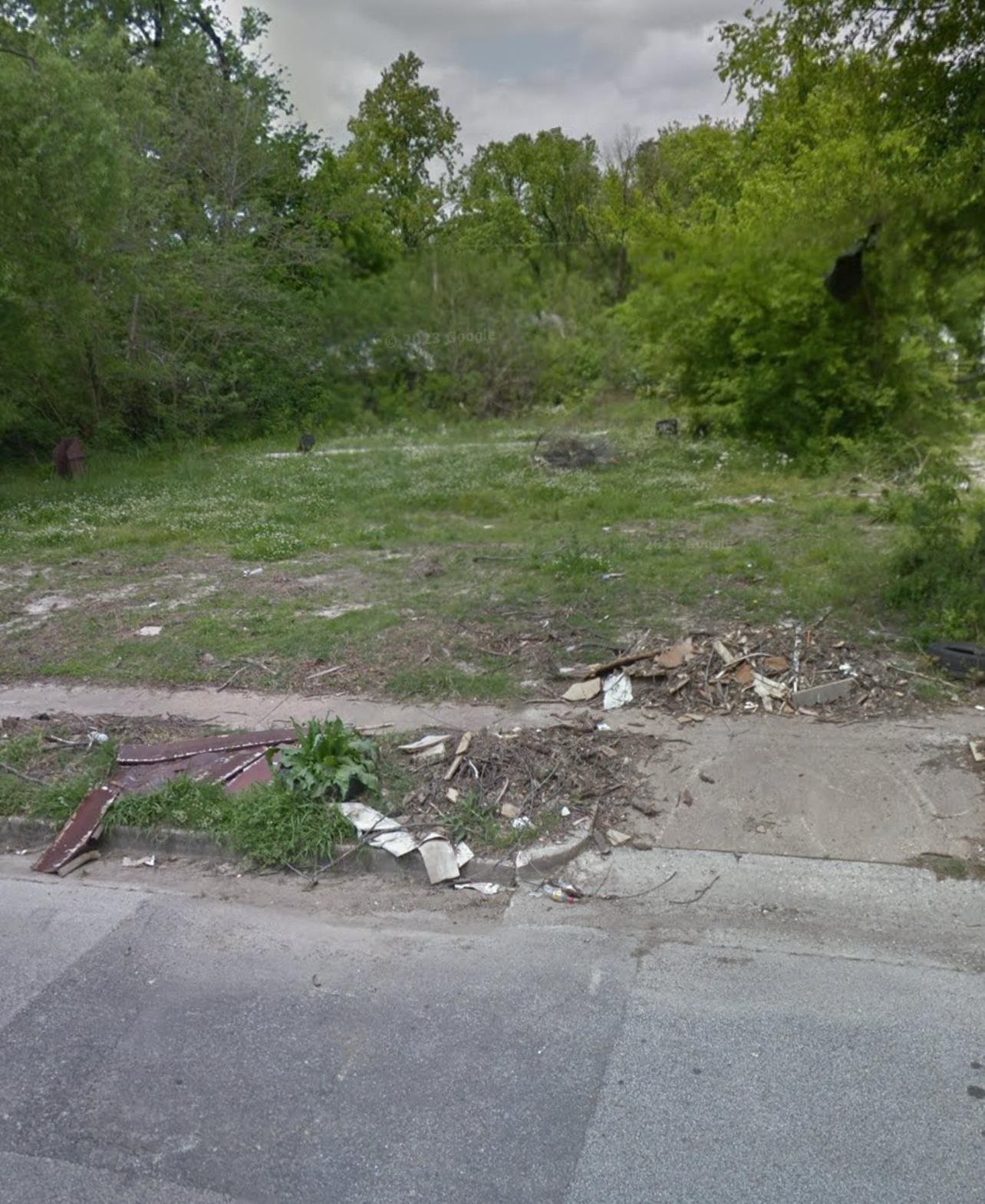 a view of a yard with a tree