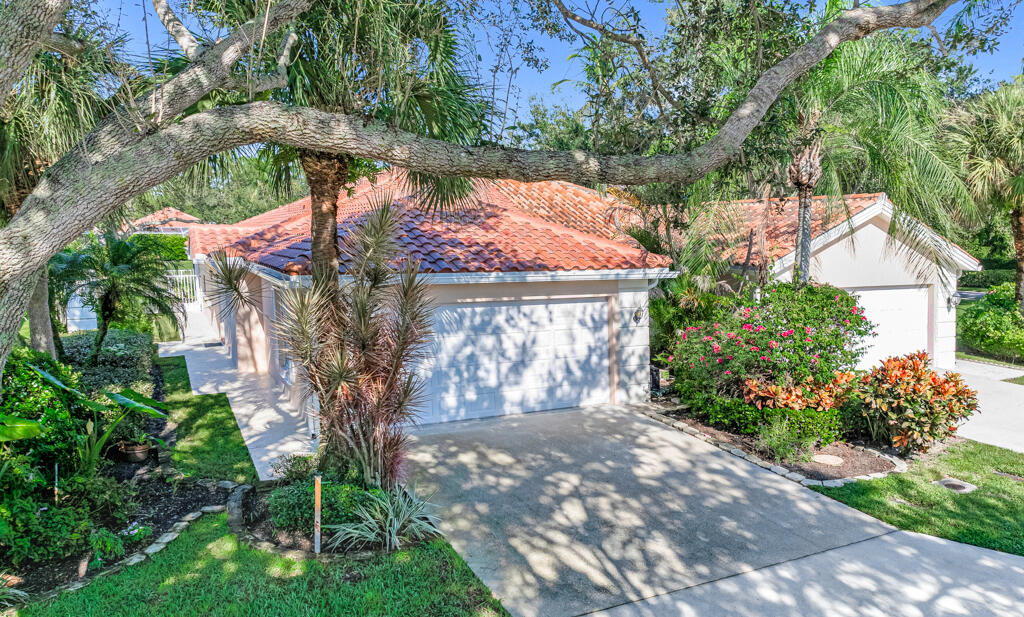 a view of a yard with plants and large trees