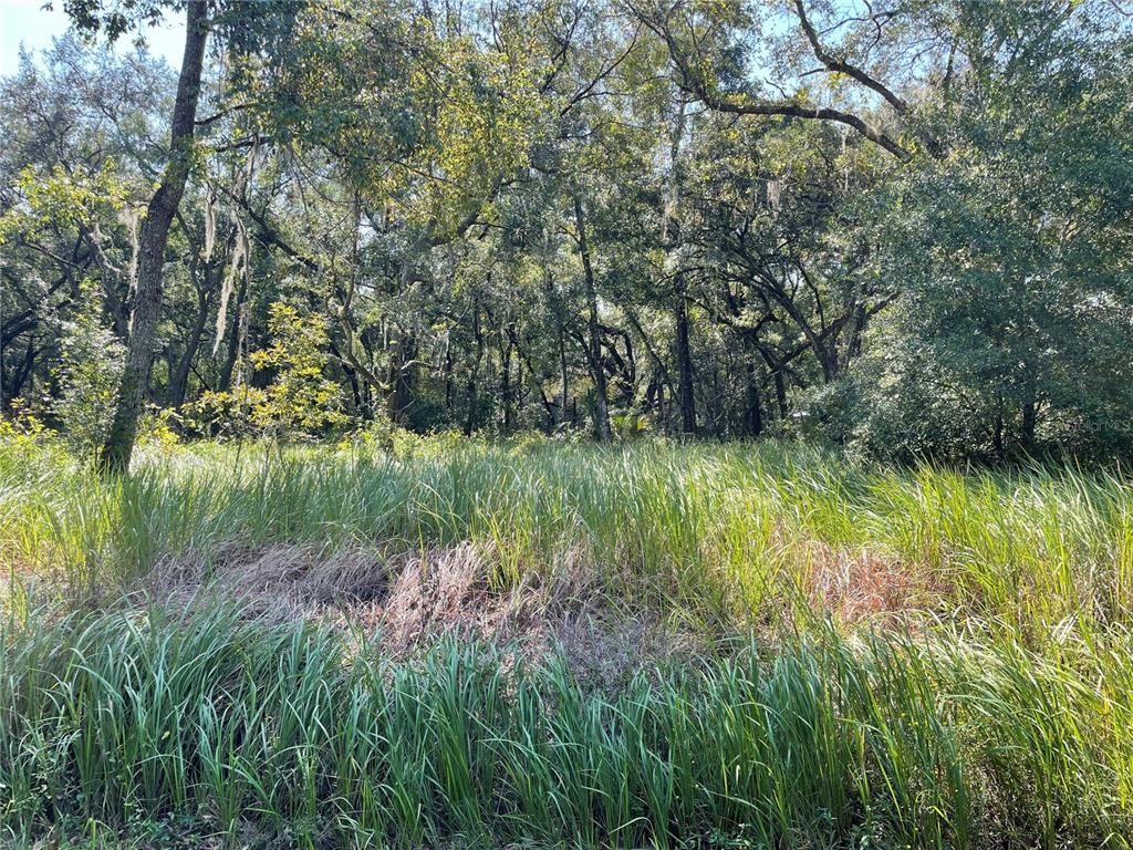 a view of a lake with a yard