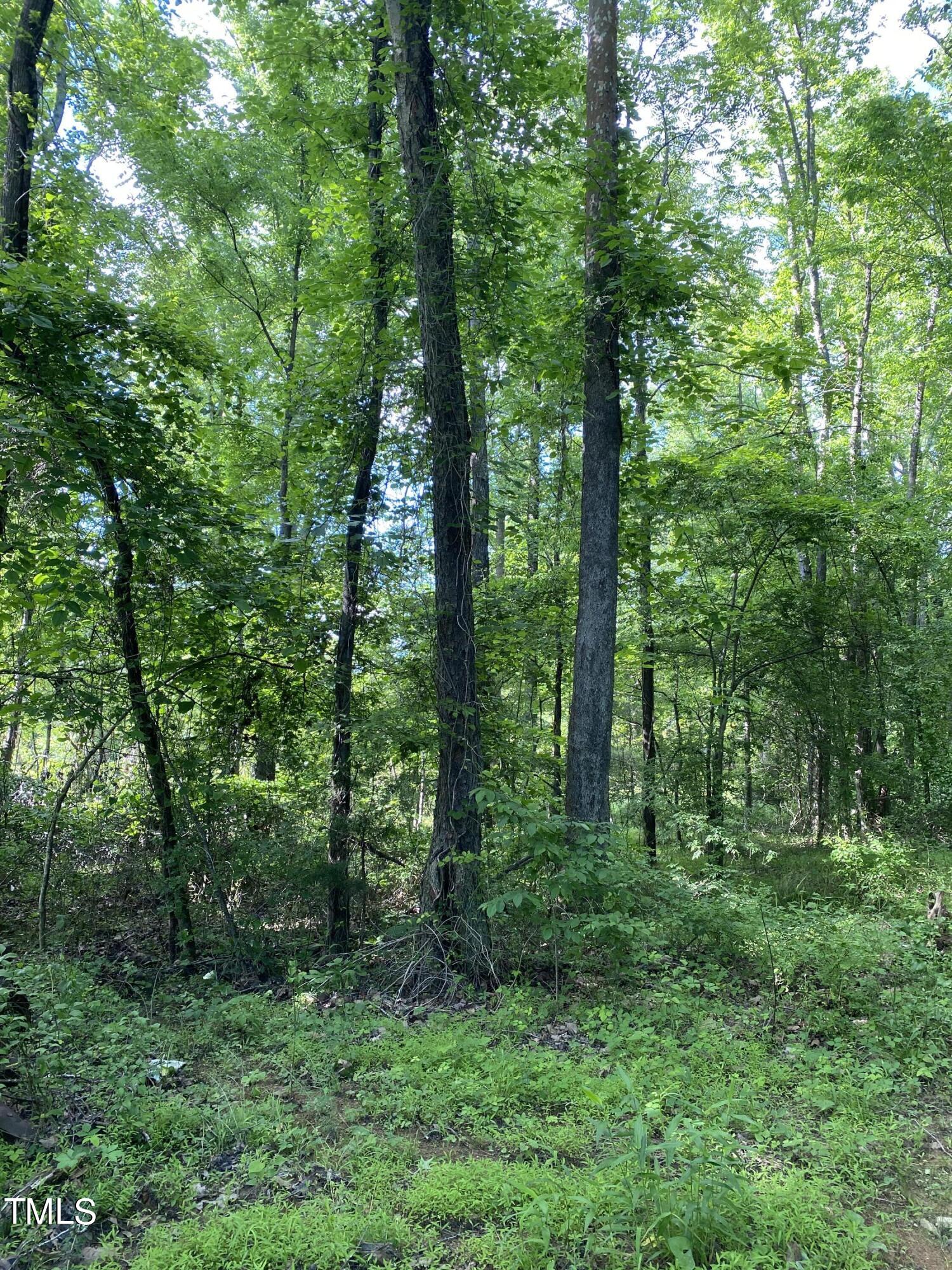 a view of a green field