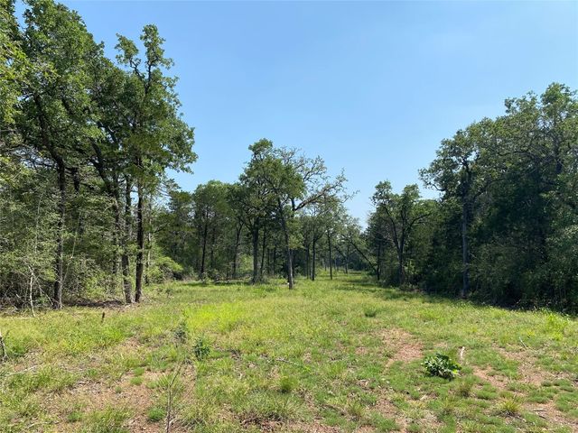 $250,000 | 8 Smithville Tx 78957