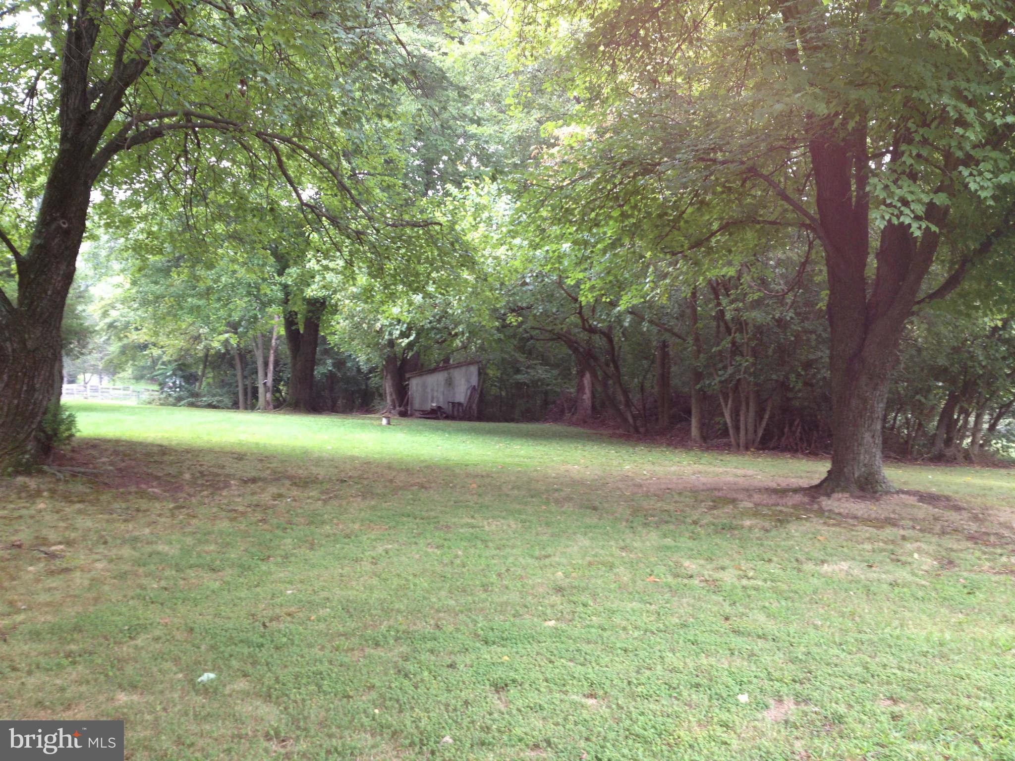 a view of a yard with a tree