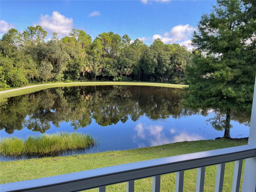 Water View with Preserve Backdrop