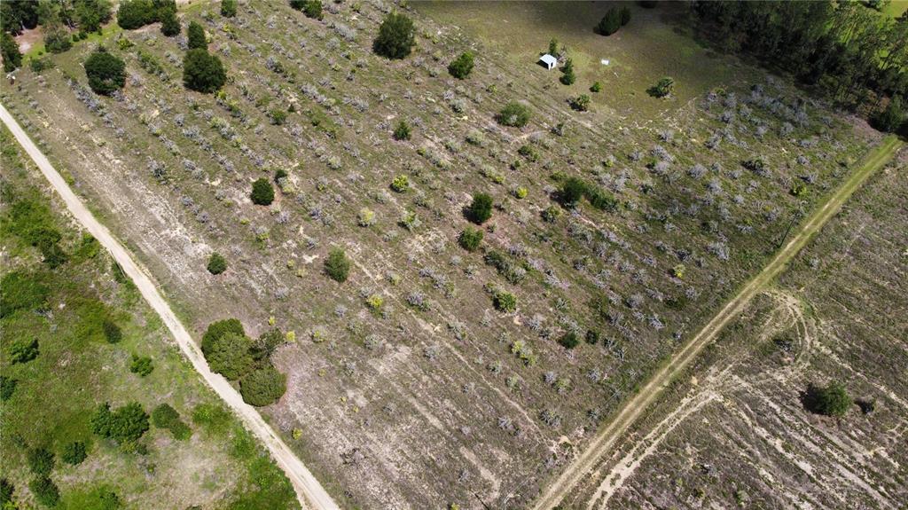 a bird view of a yard