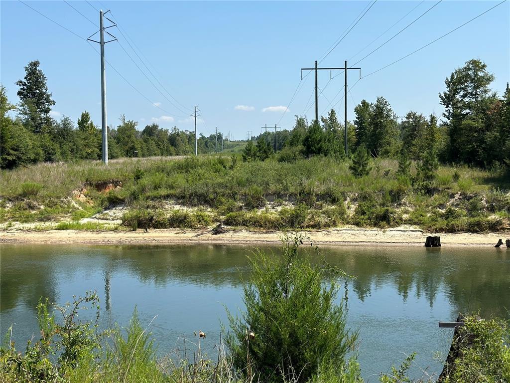 a view of a lake with a palm trees