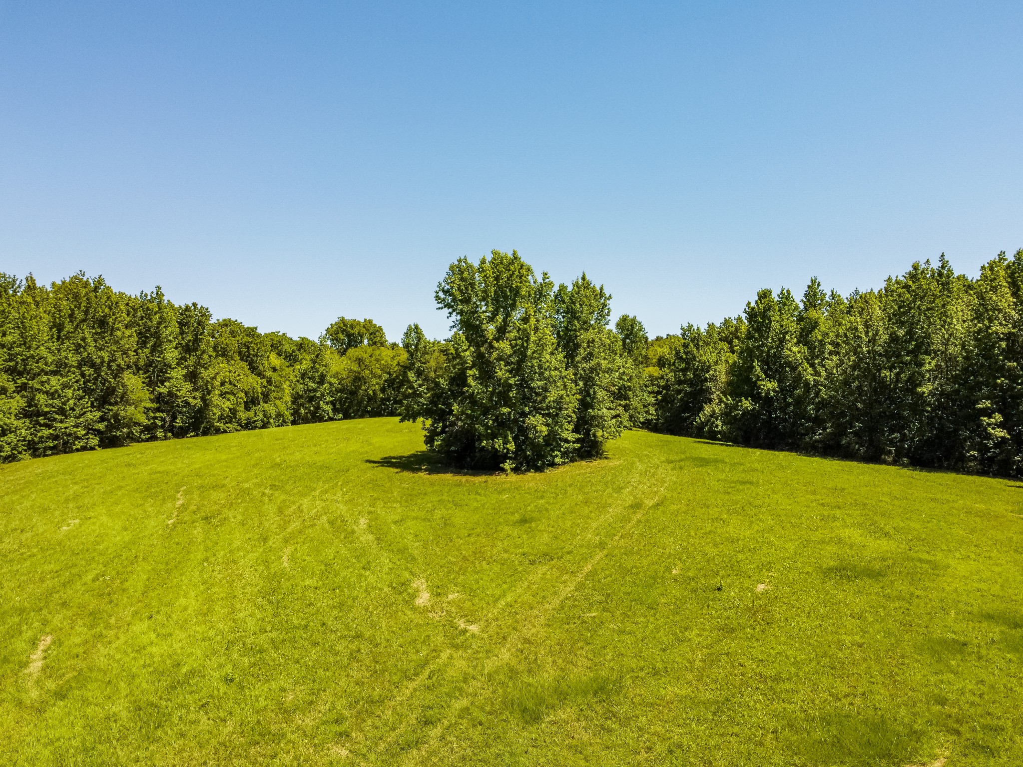 a view of a big yard with large trees