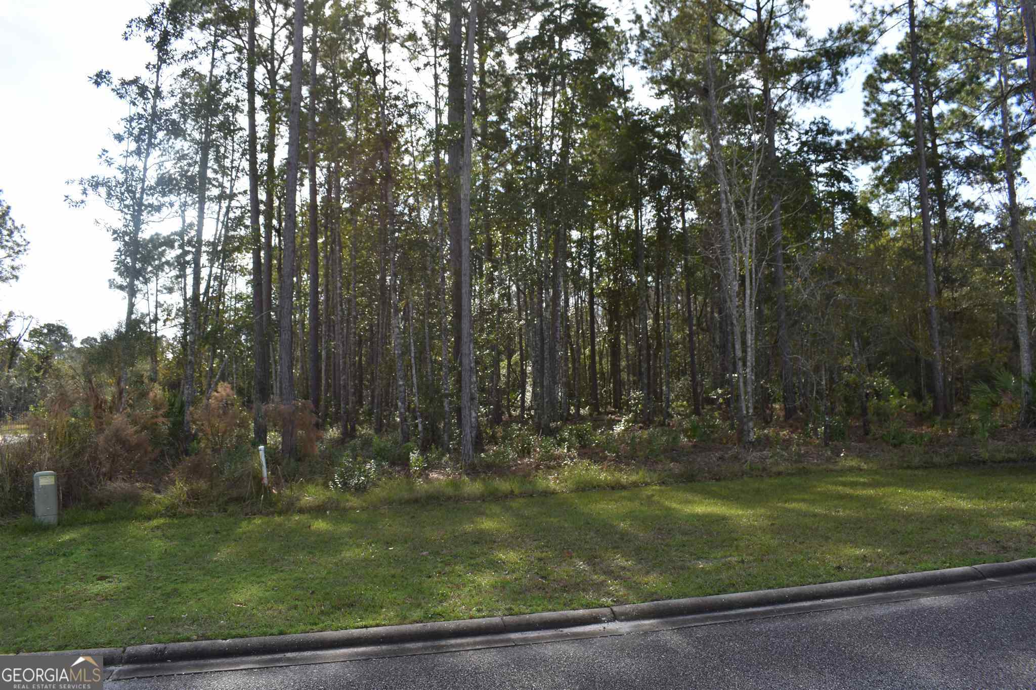 a view of outdoor space with trees