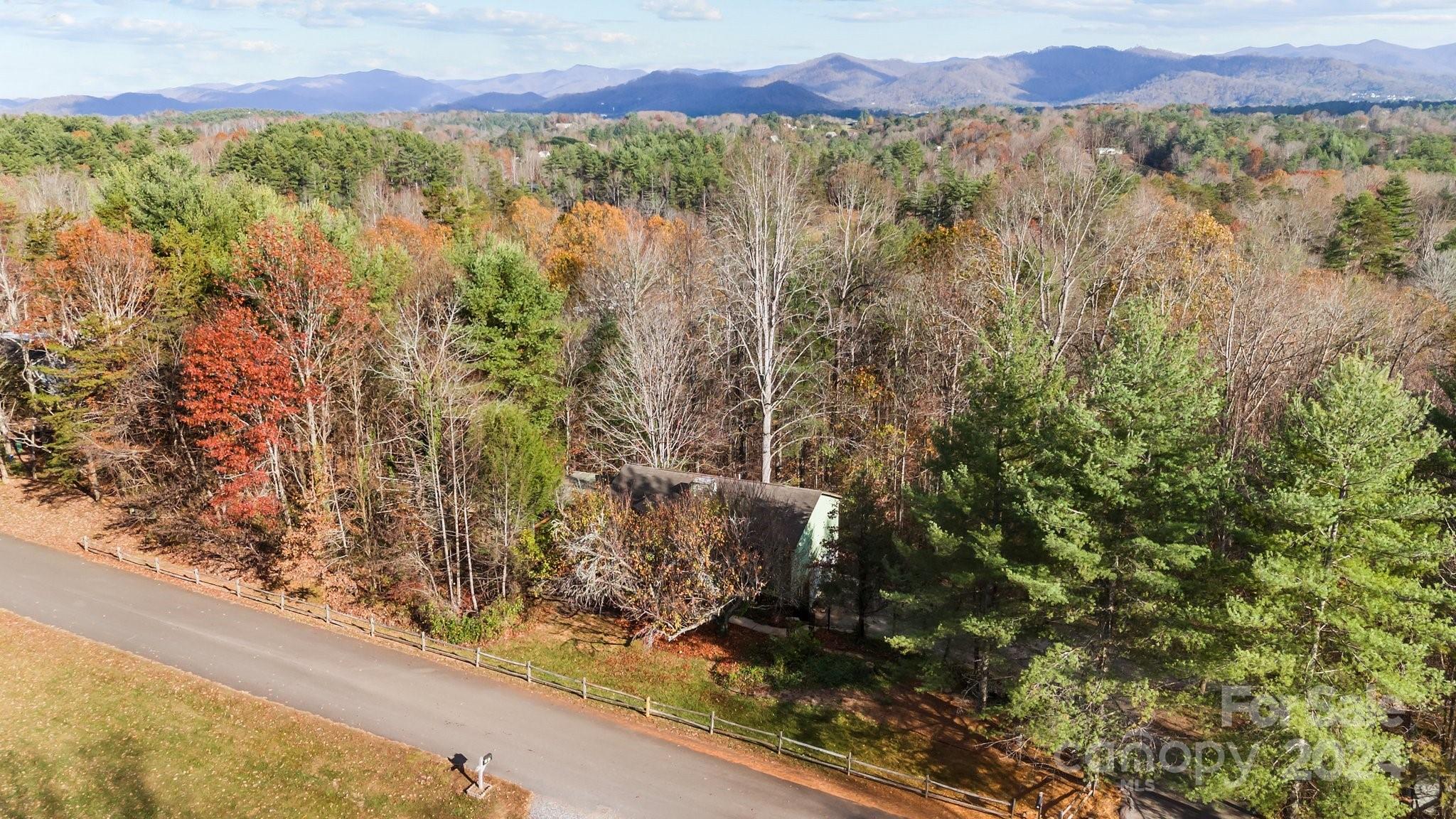 a view of a forest with a mountain