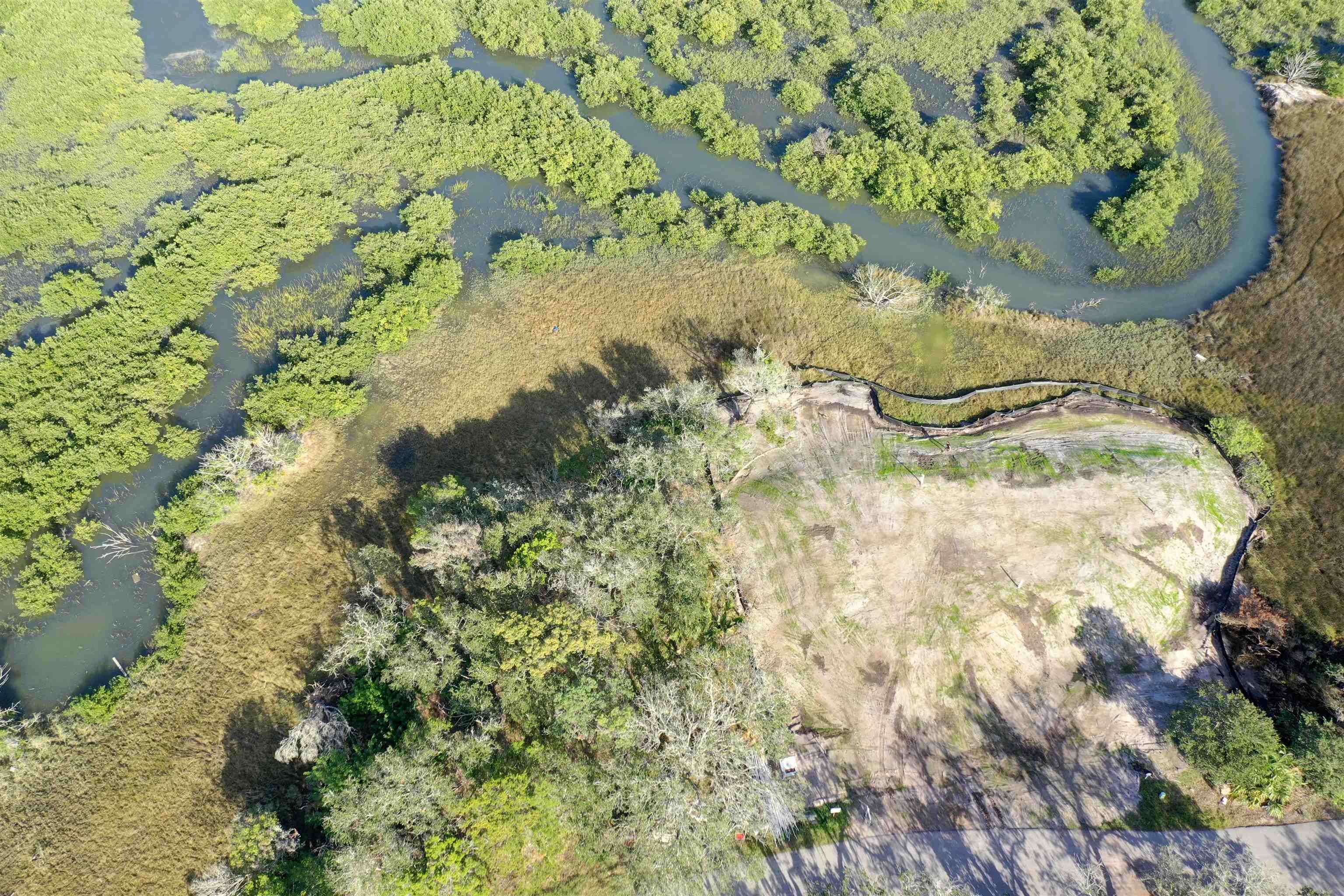 a view of a lake in a forest