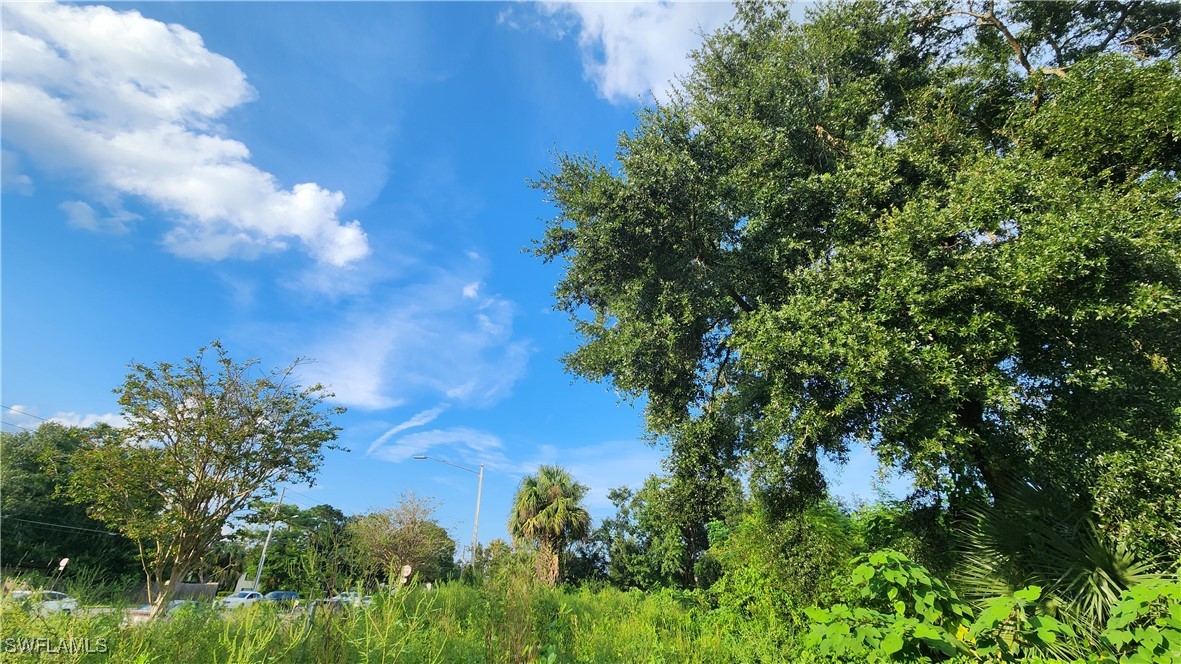 a view of a green yard