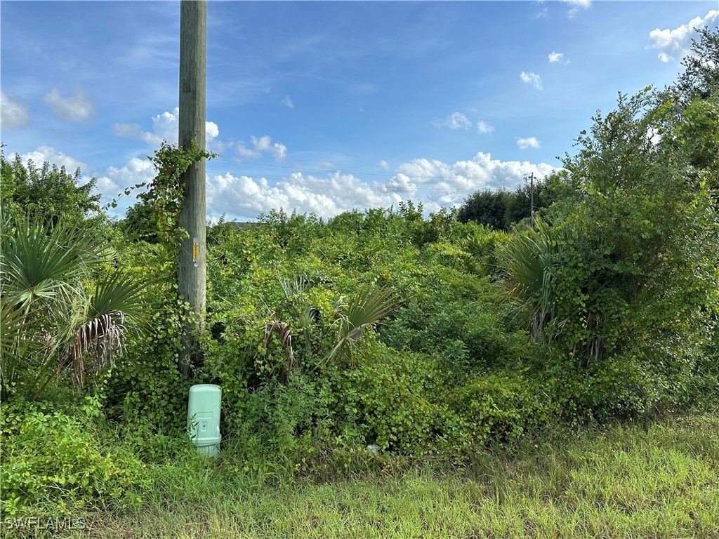 a view of a green yard