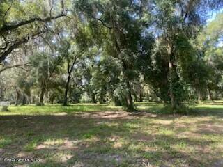 a big yard with lots of green space and trees in the background