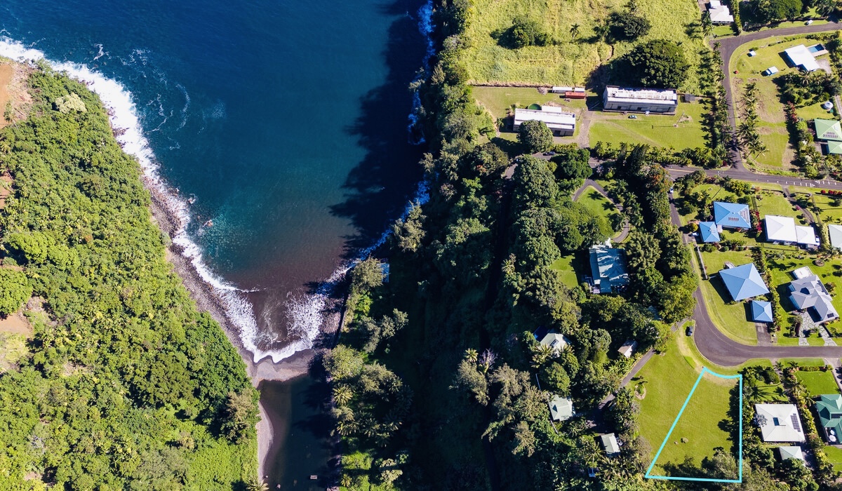 Birdseye view (property outlined on the right)