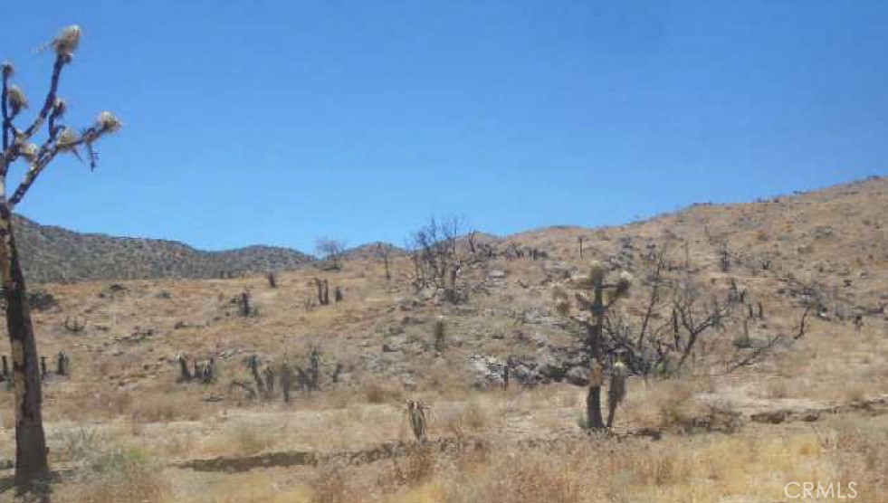 a view of a dry yard with mountains in the background