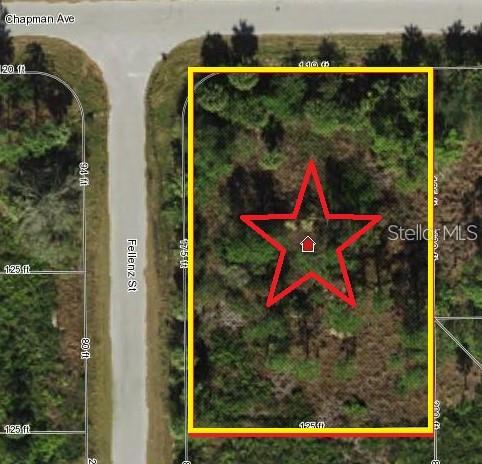 an aerial view of a house with a yard and potted plants