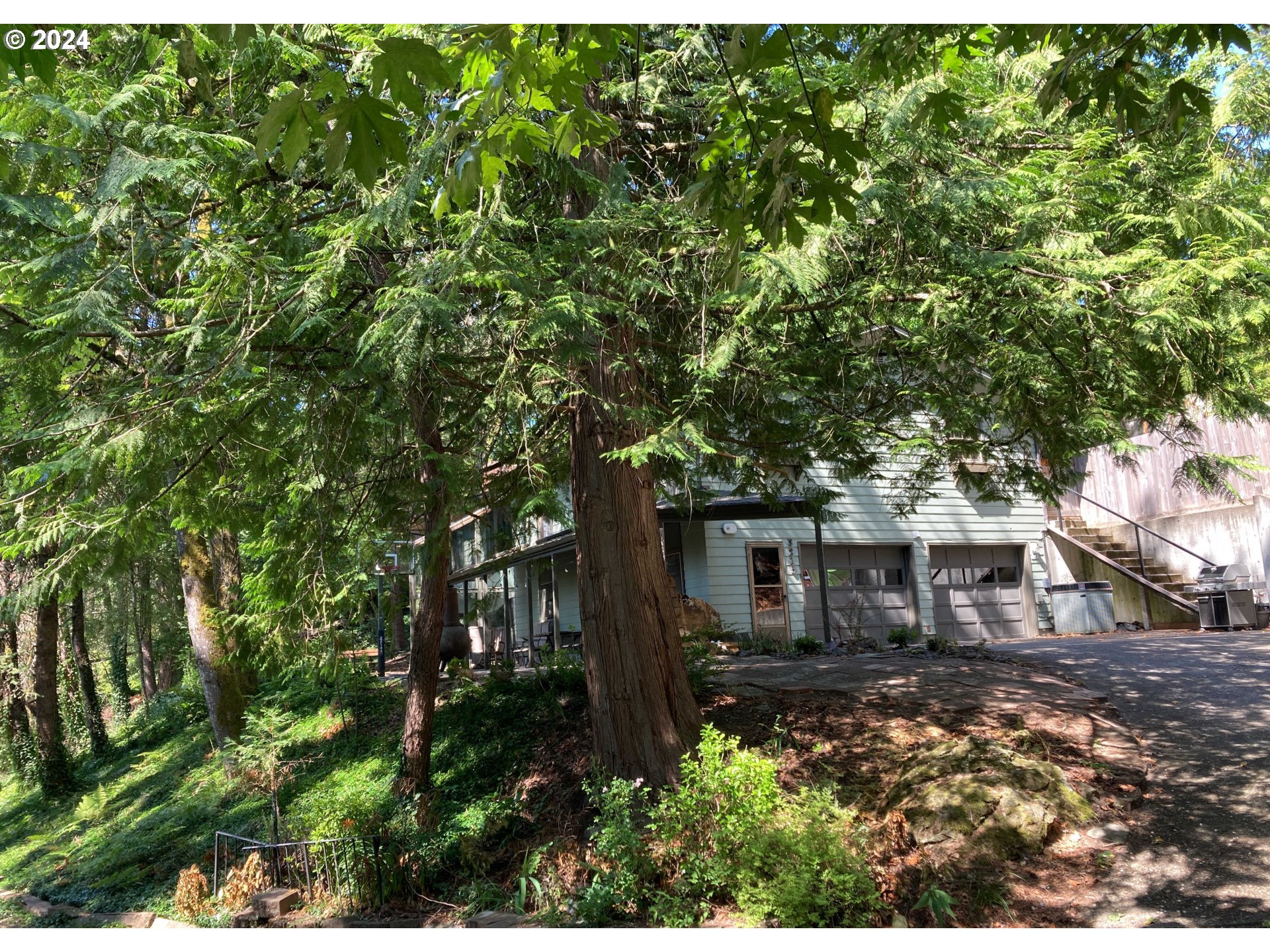 a front view of a house with a tree