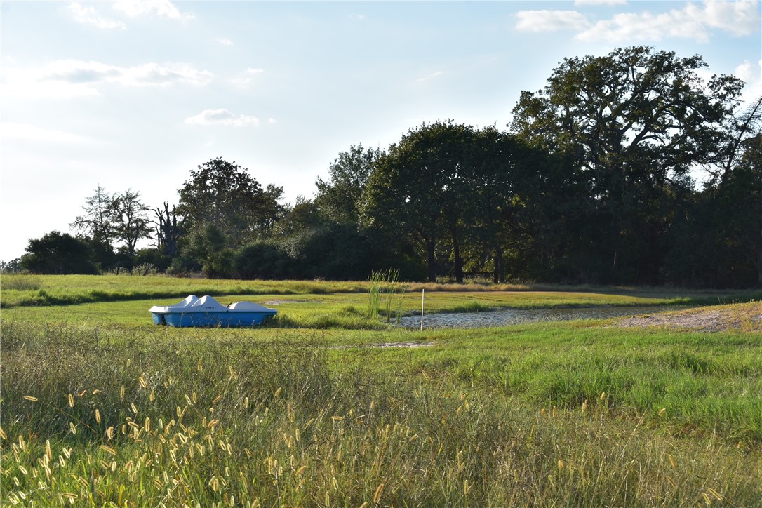 a view of swimming pool with a yard