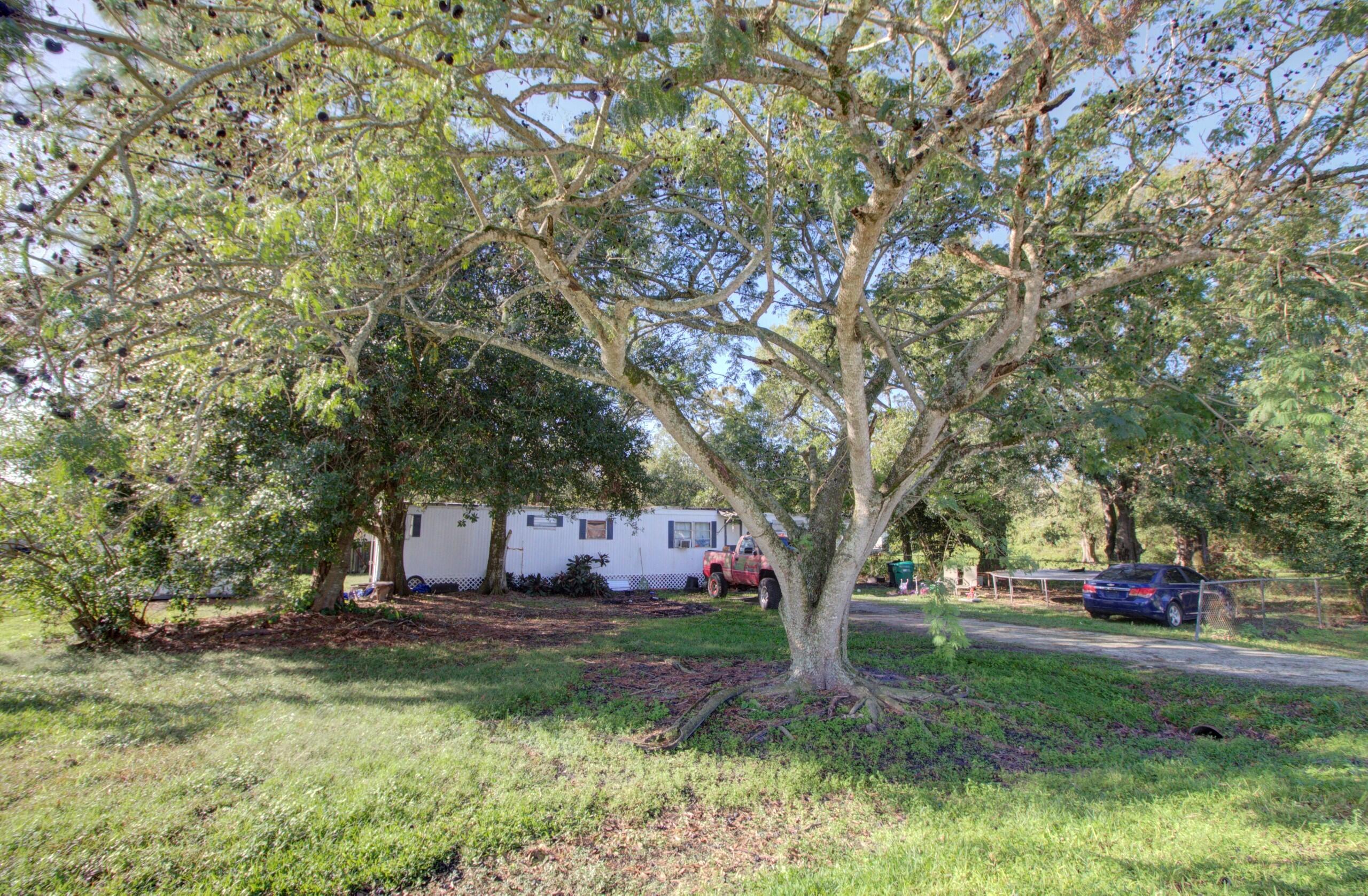 a view of street with large trees