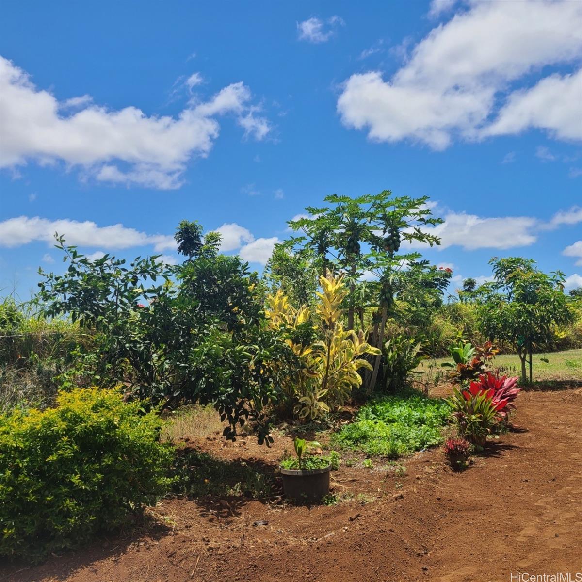 a view of a garden with a flower garden