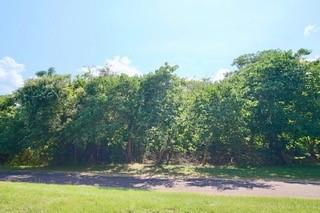 a view of swimming pool and trees in the background