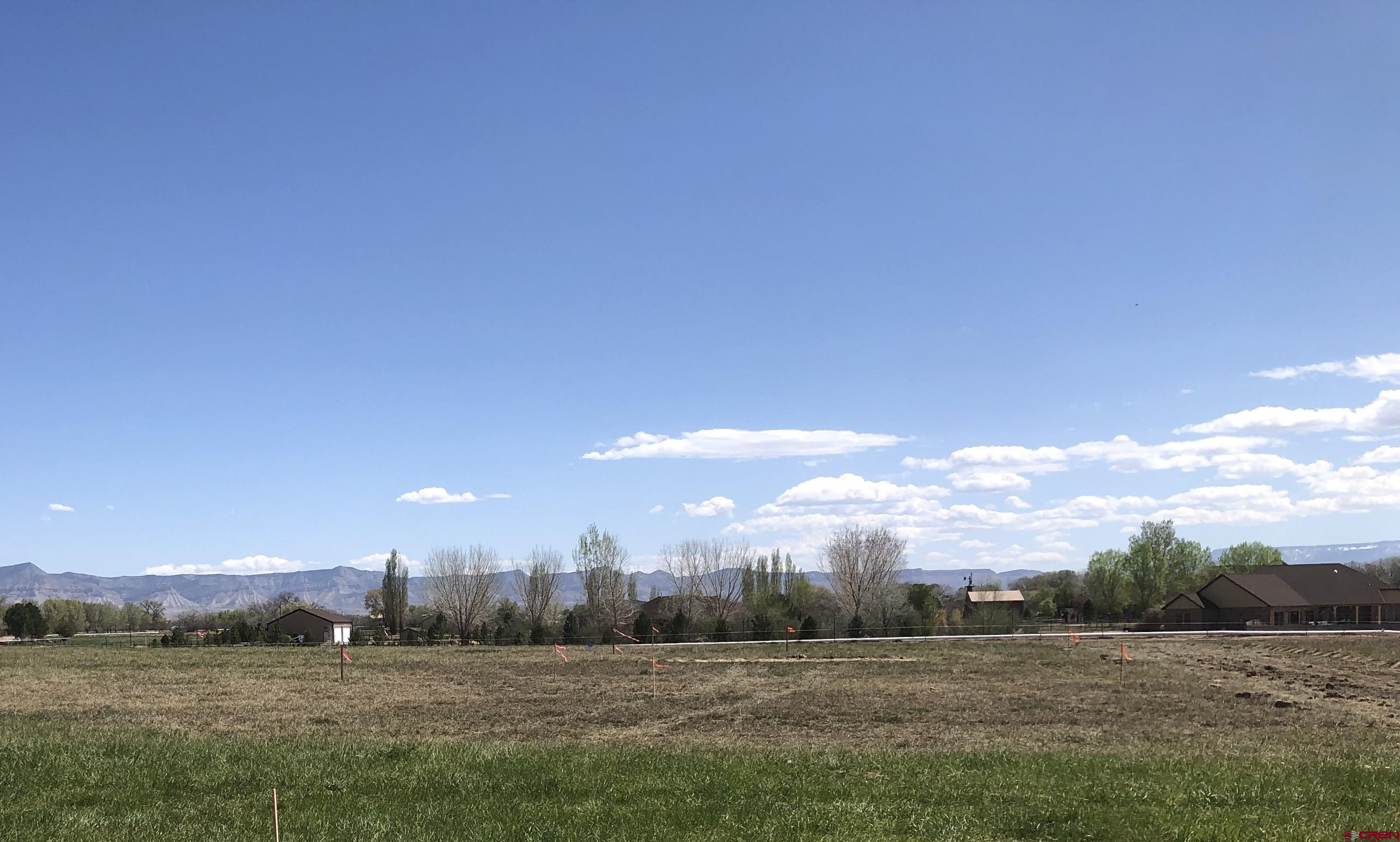 a view of a big yard