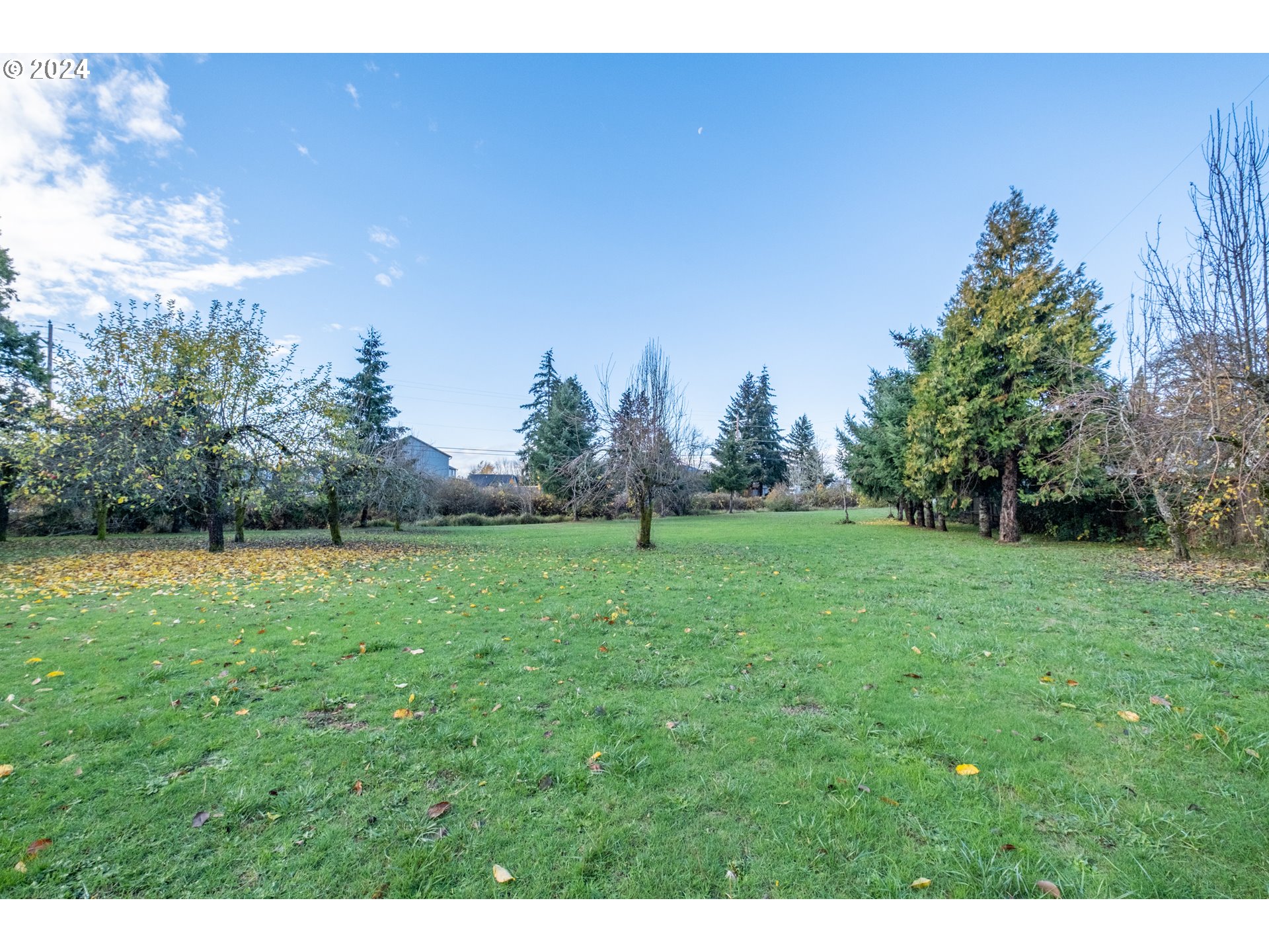 a view of a grassy field