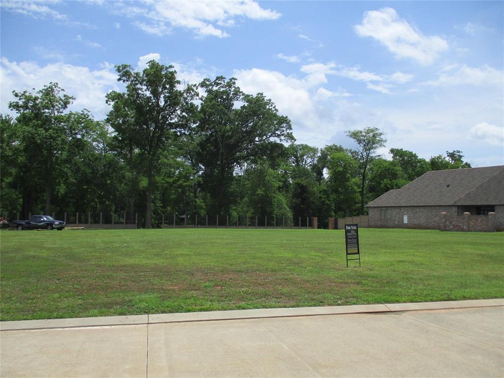 a view of a field with a tree