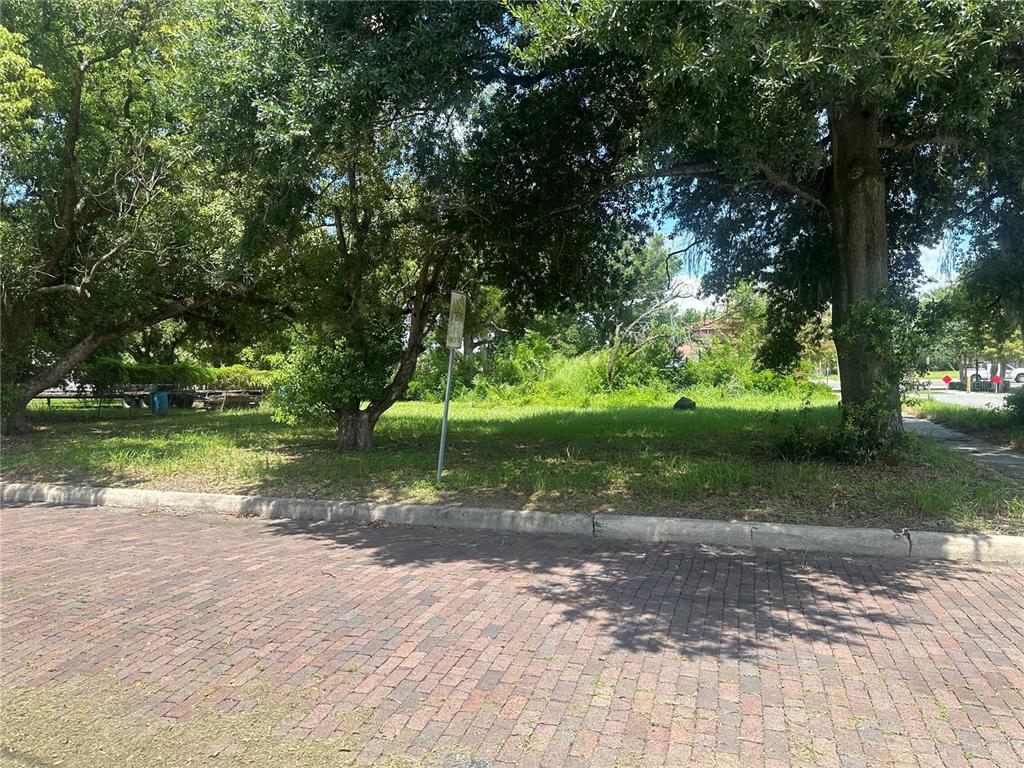 a view of a park with large trees