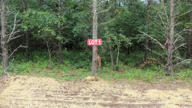 $54,900 | Lot 1 Bur Oak Trail | Anderson