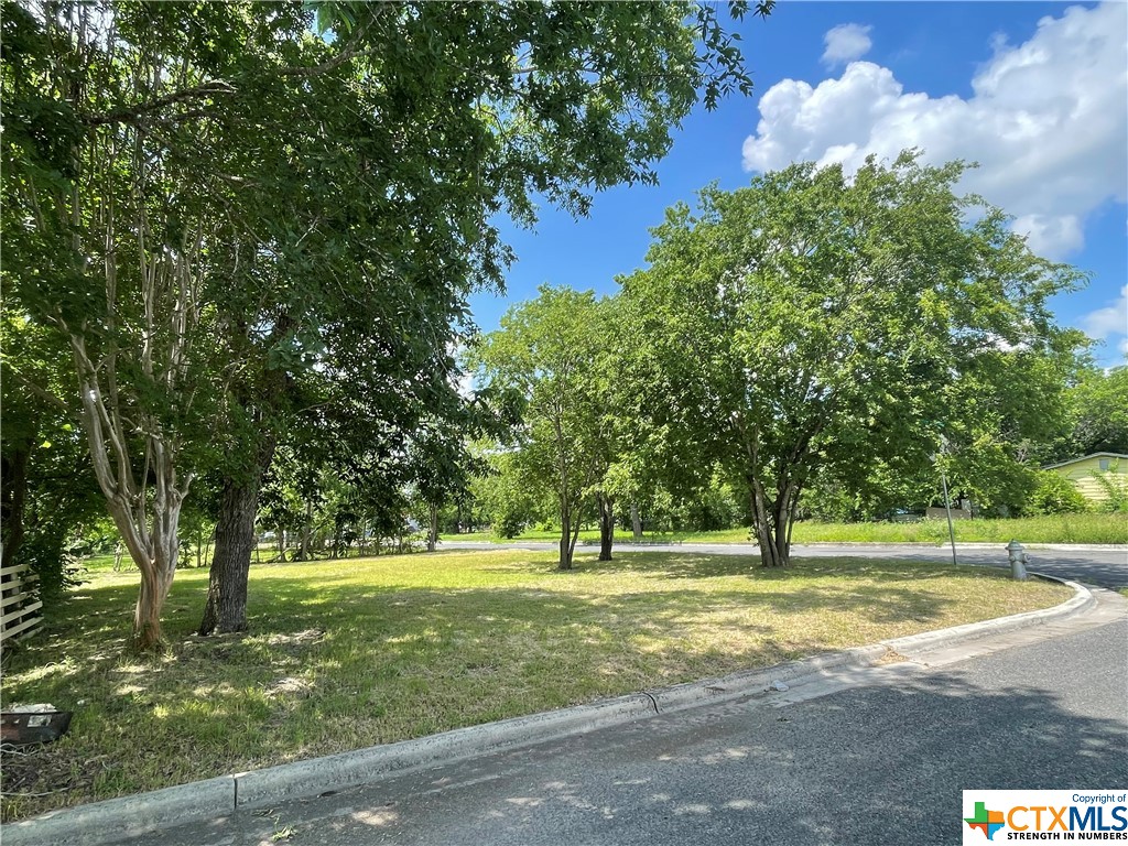 a view of a park with large trees