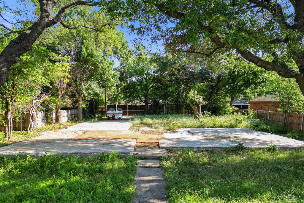 a view of a yard with plants and trees