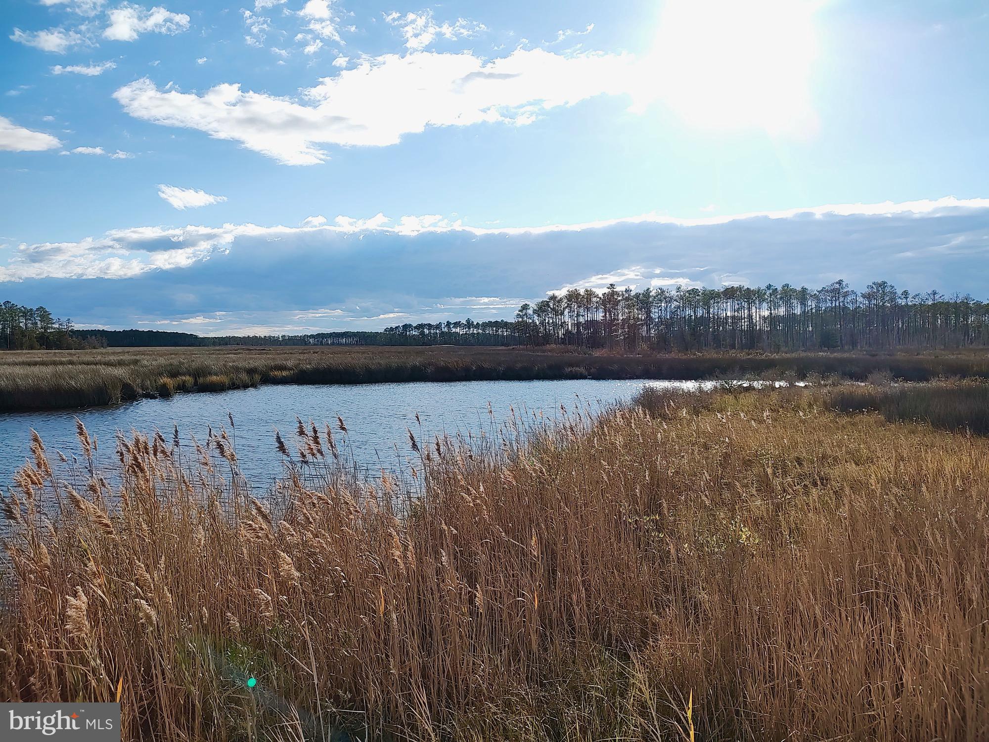 a view of a lake with a city