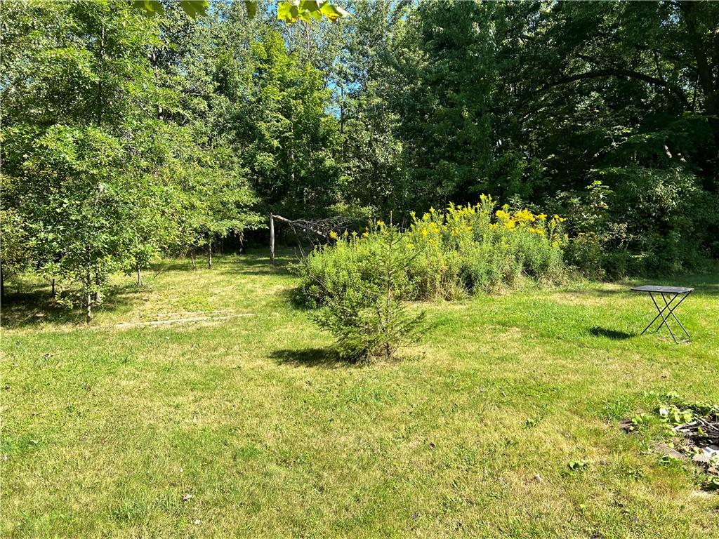 a view of yard with green space