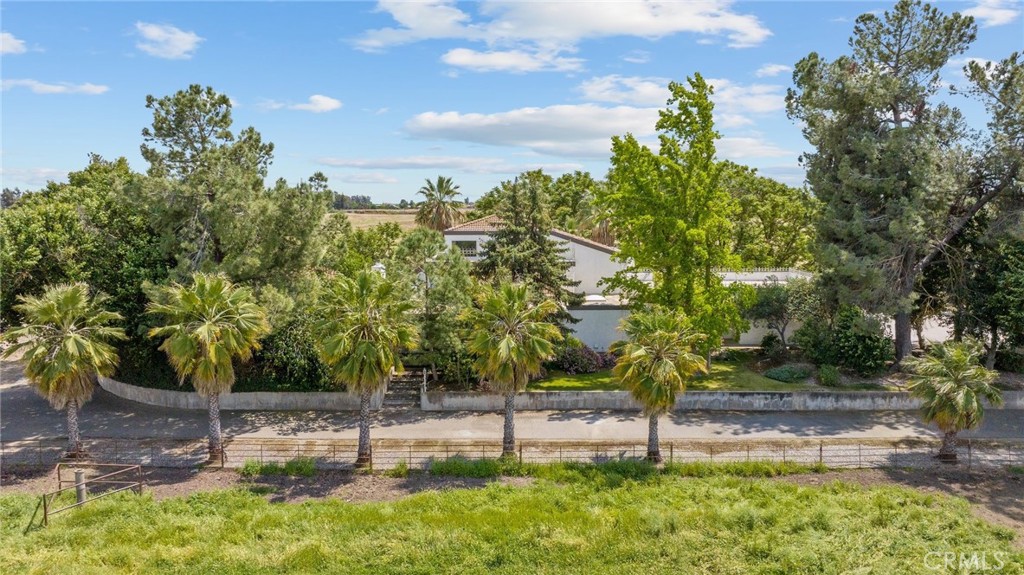 a view of a backyard