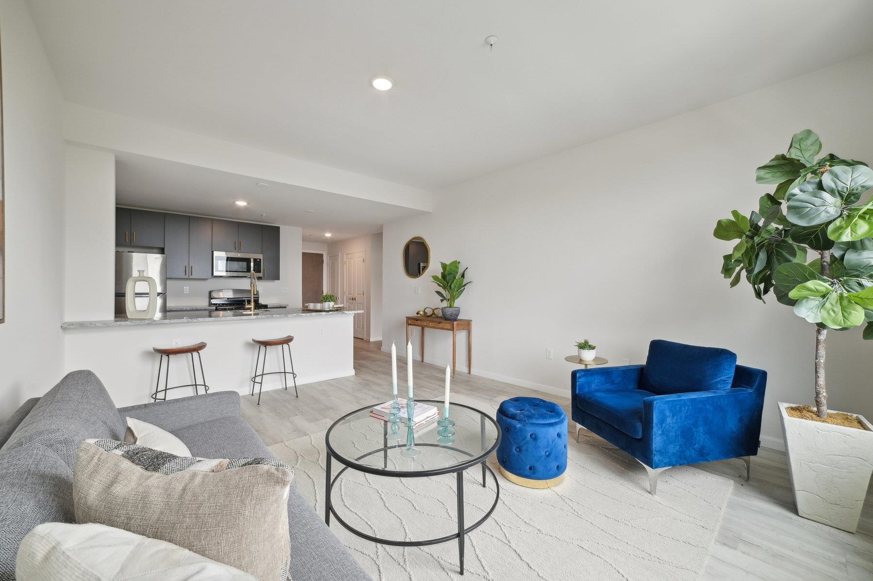 a living room with furniture and a potted plant