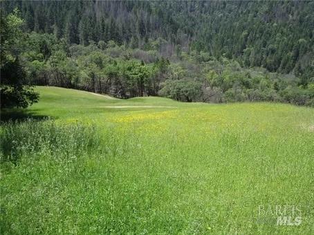 a view of a grassy field with trees