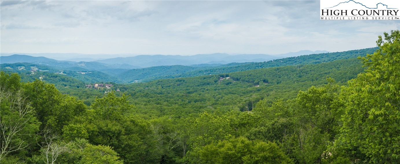 a view of a city with lush green forest