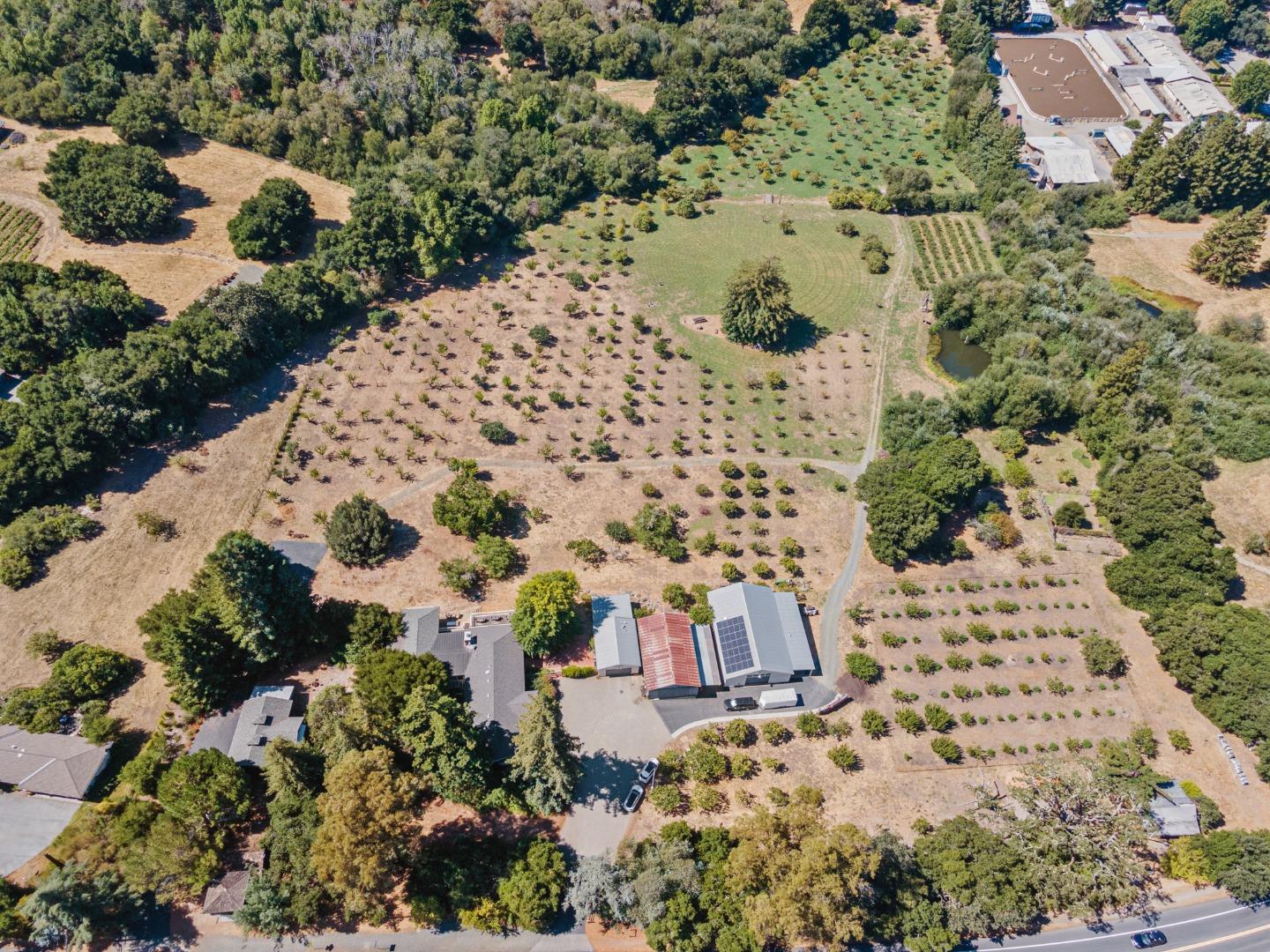 a view of a garden