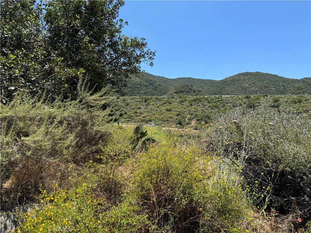 a view of a mountain range with trees in the background