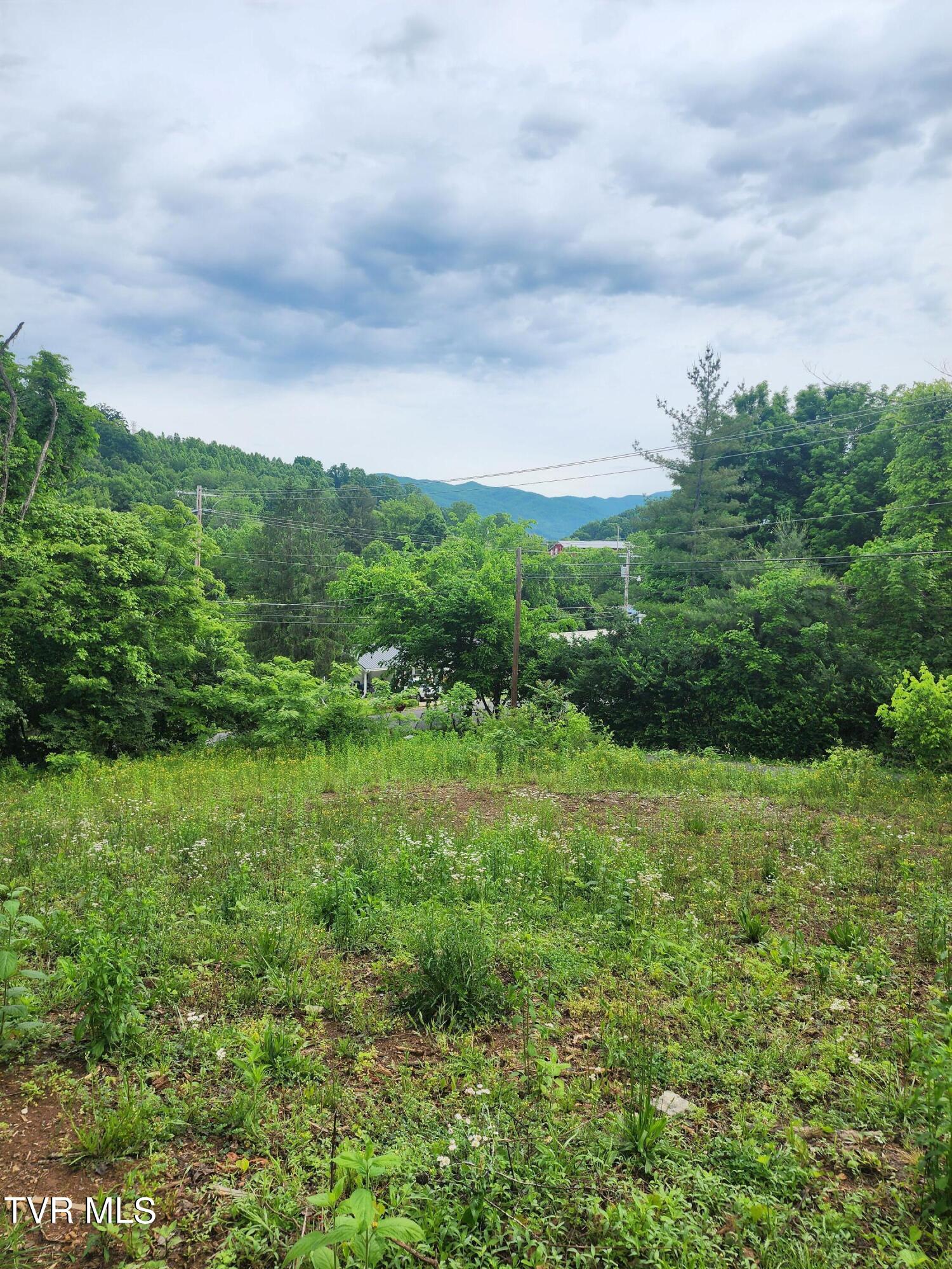 Tbd Tbd Siam Road/danial Lane Road, Elizabethton, TN 37643 | Compass