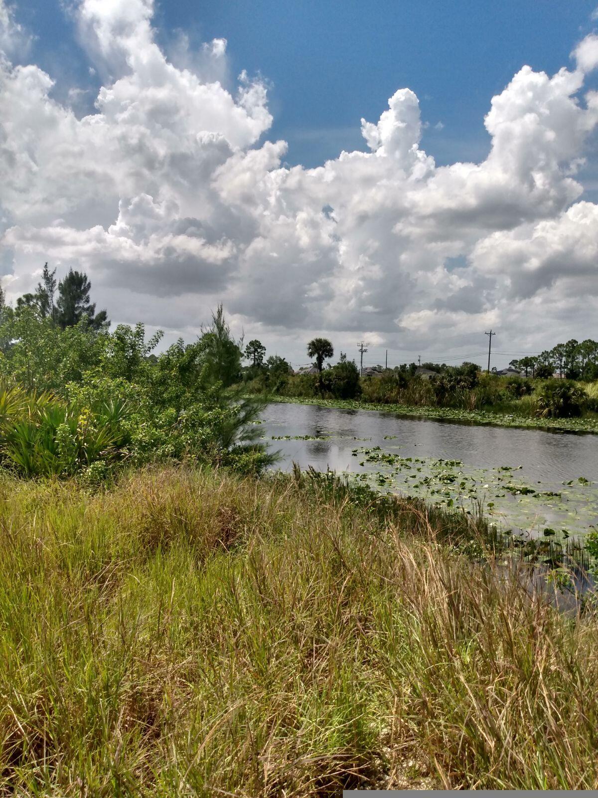 a view of a lake with a big yard