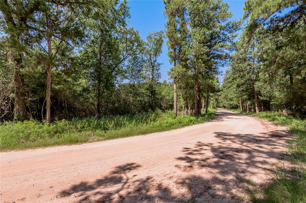 a view of a road with a trees