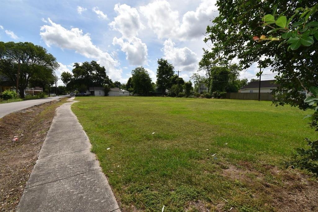 a view of a park with large trees