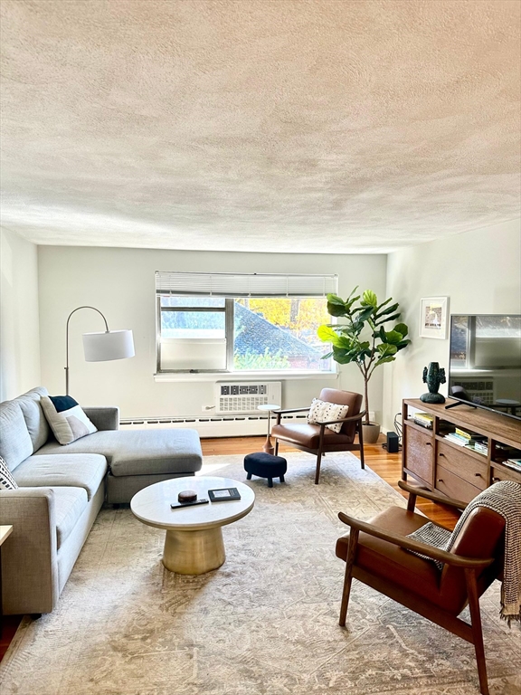 a living room with furniture a rug and a flat screen tv