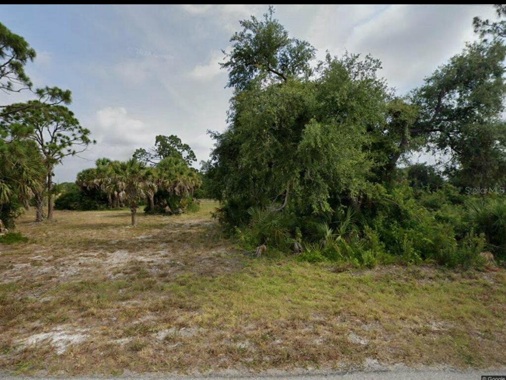 a view of a yard with plants and trees