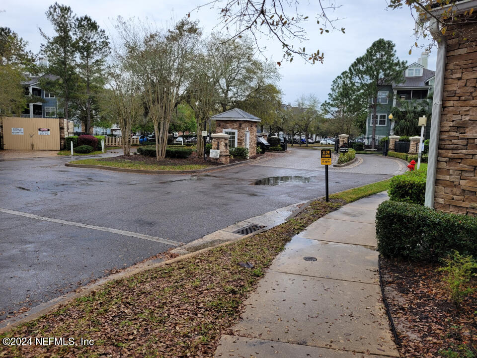 a street view with large trees